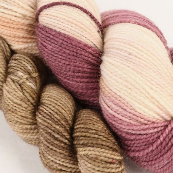 Chelsea Luxe Yarn Coop Collection Sock Set SW Merino Nylon Princess Laya - Picture 2 of 3